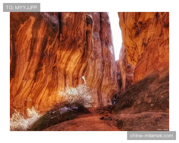 莱奥与罗纳尔迪尼奥：天赋与灵感如何塑造进攻创造力