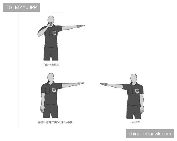 如何判断球场上的恶意犯规：看懂裁判手势的关键